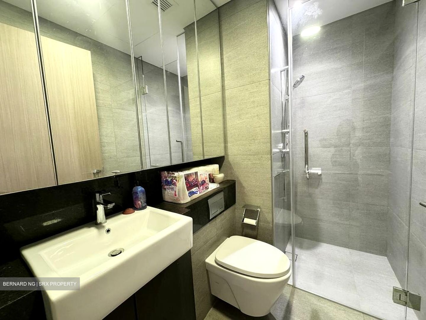 The Woodleigh Residences (D13), Apartment #578491051